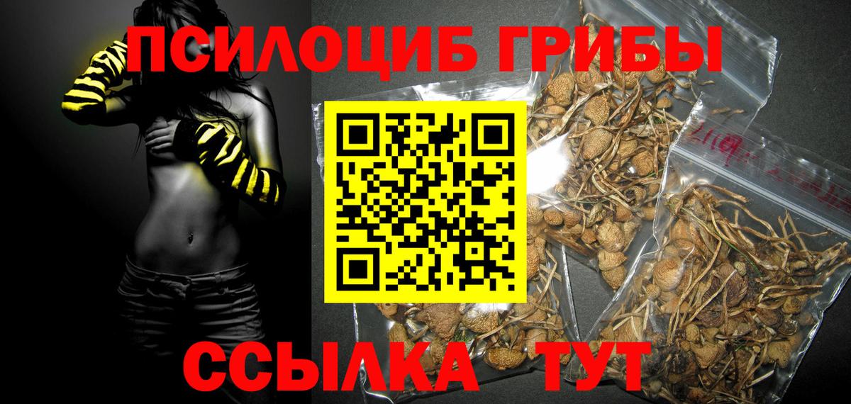 Галлюциногенные грибы GOLDEN TEACHER  Вход с VPN  Псилоцибиновые грибы мицелий  Ковров 